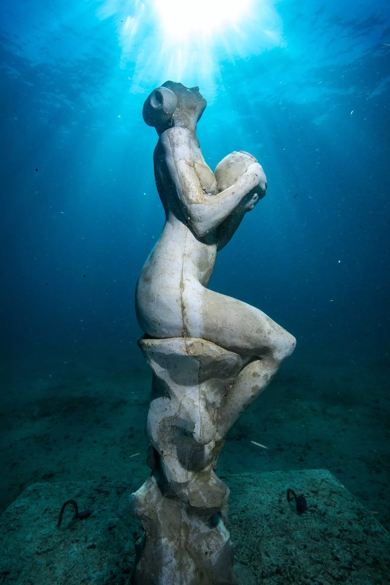 „La Graine et la Mer“ von Davide Galbiati