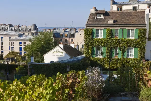 Montmartre . के अंगूर के बाग