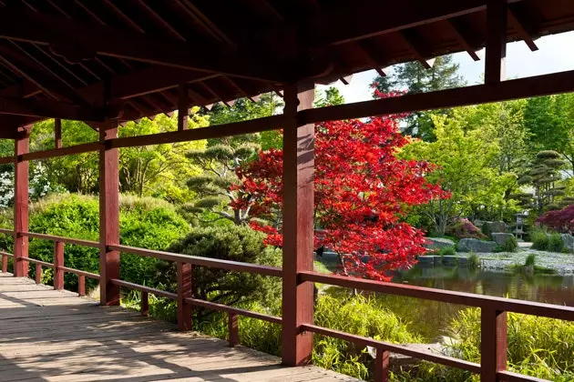 The Japanese garden of Nantes