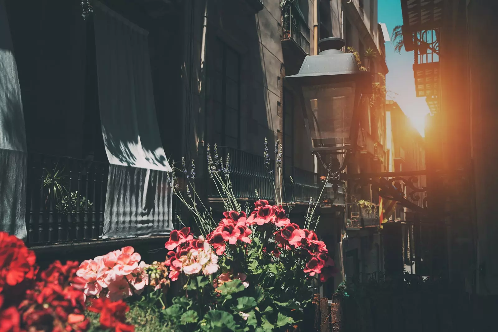 Balconies El Borne in Barcelona