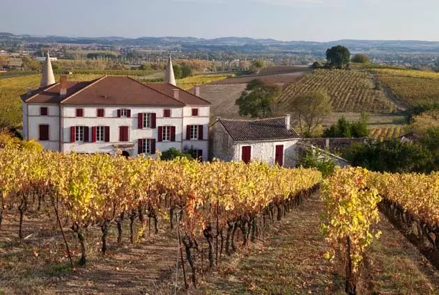 Gaillac Vineyards