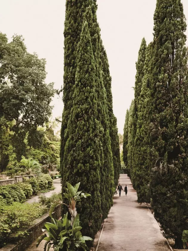 De tuin van planten