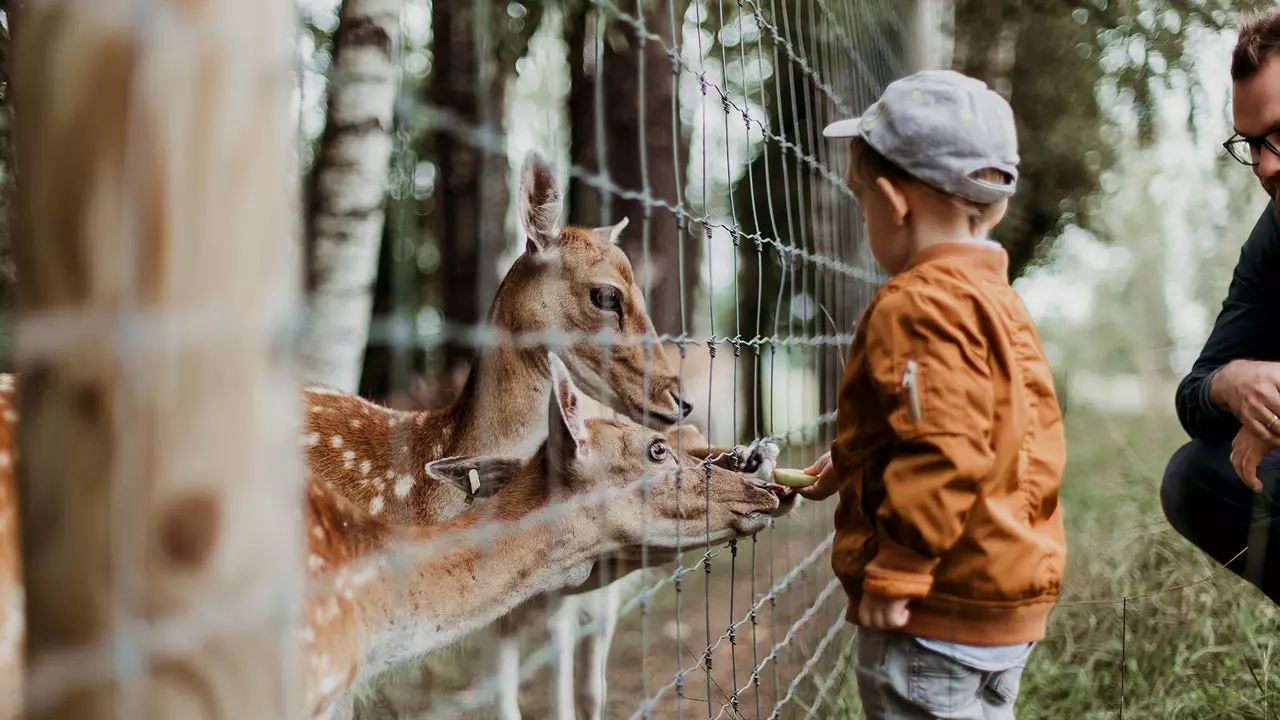 Skal zoologiske haver lukke?