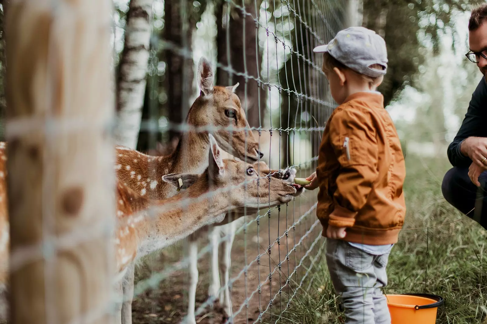 動物園は閉鎖すべきですか？