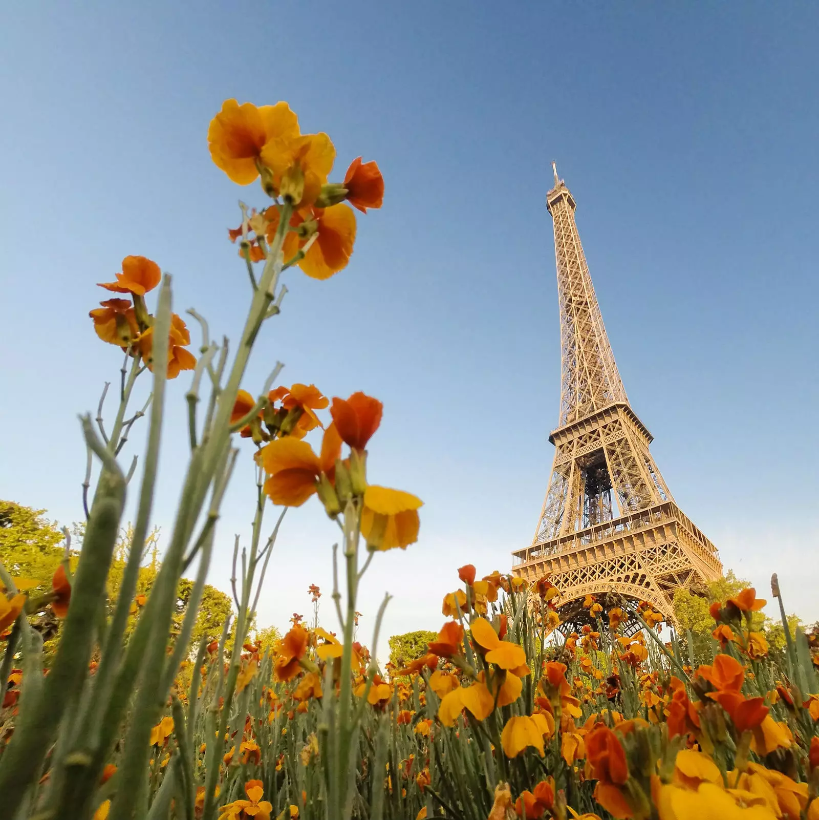 The gardens of the Eiffel Tower.