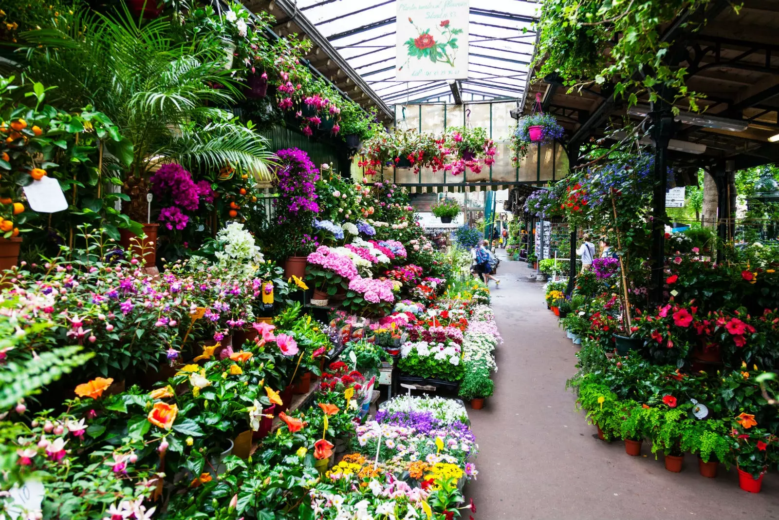 Mercat de les flors de París.