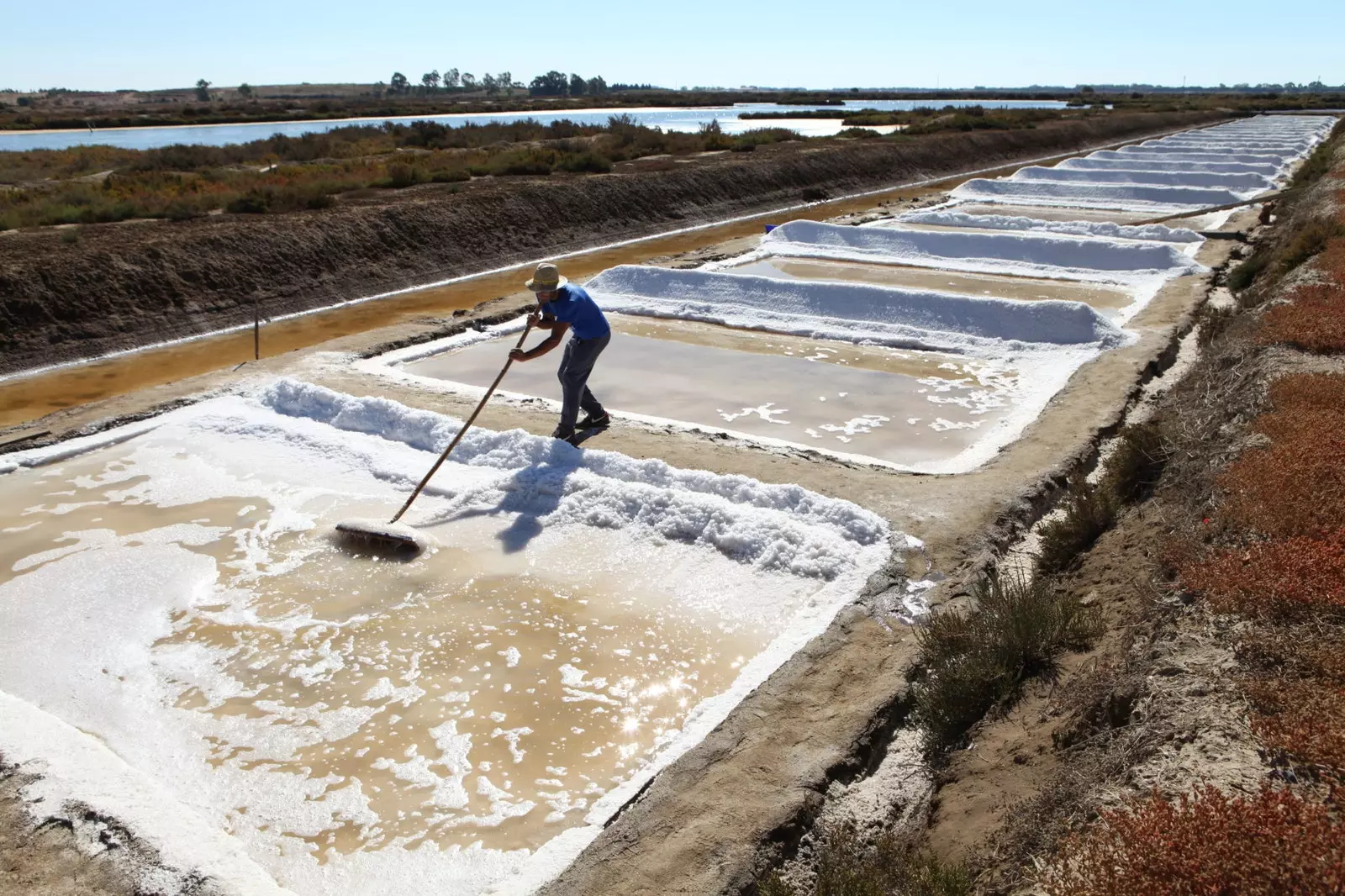 Le saline tedesche