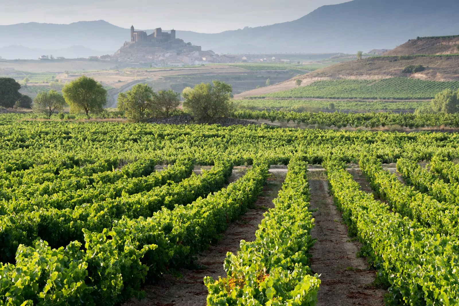 San Vicente de La Sonsierra trong nền La Rioja