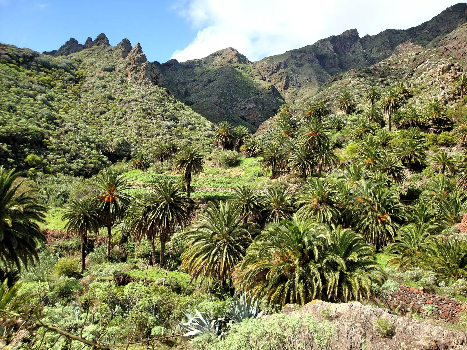 Parc Rural d'Anaga