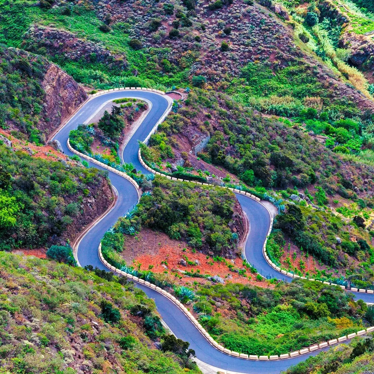 ტაგანანა