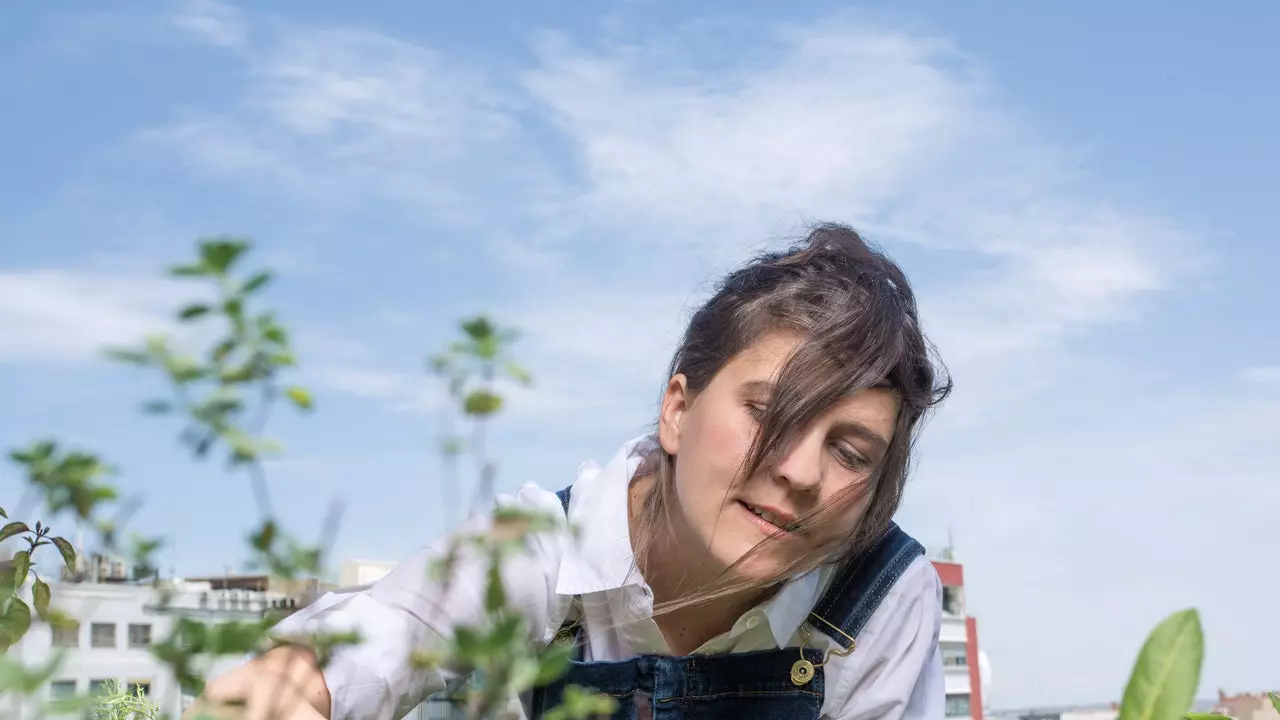 食べる植物