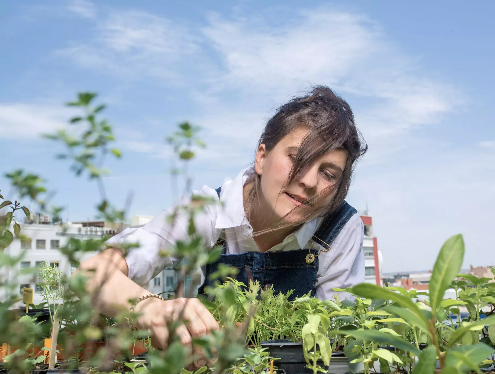 Caroline Heredia je ena izmed vodilnih proizvajalk aromatičnih rastlin v Španiji.