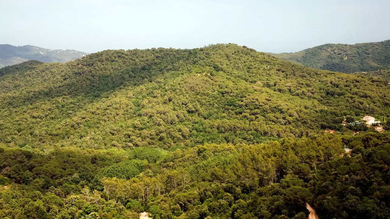 Òrrius, najbolj čarobni gozd v Španiji