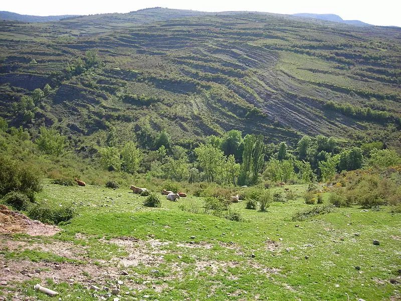 Terrasses de Trevijano