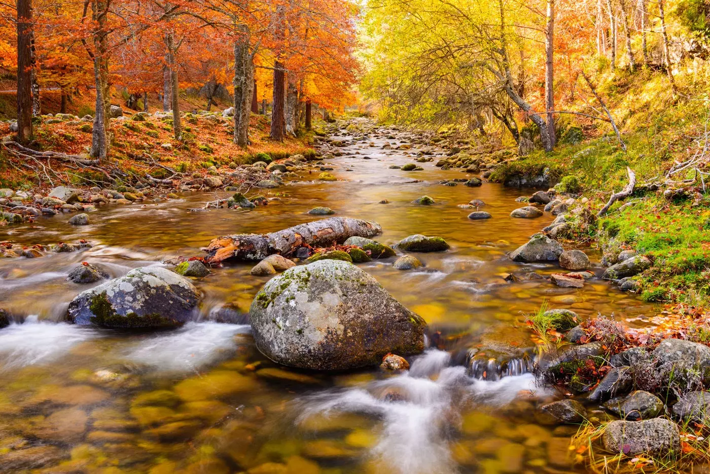 Parc naturel de la Sierra Cebollera