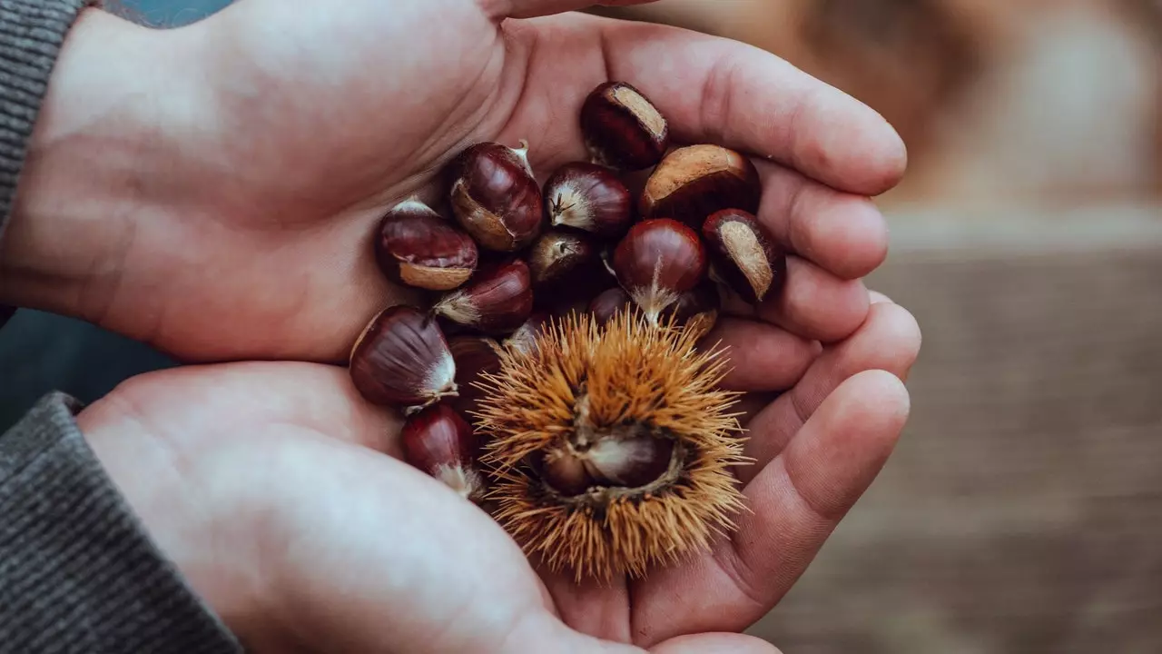 lettera d'amore alle castagne