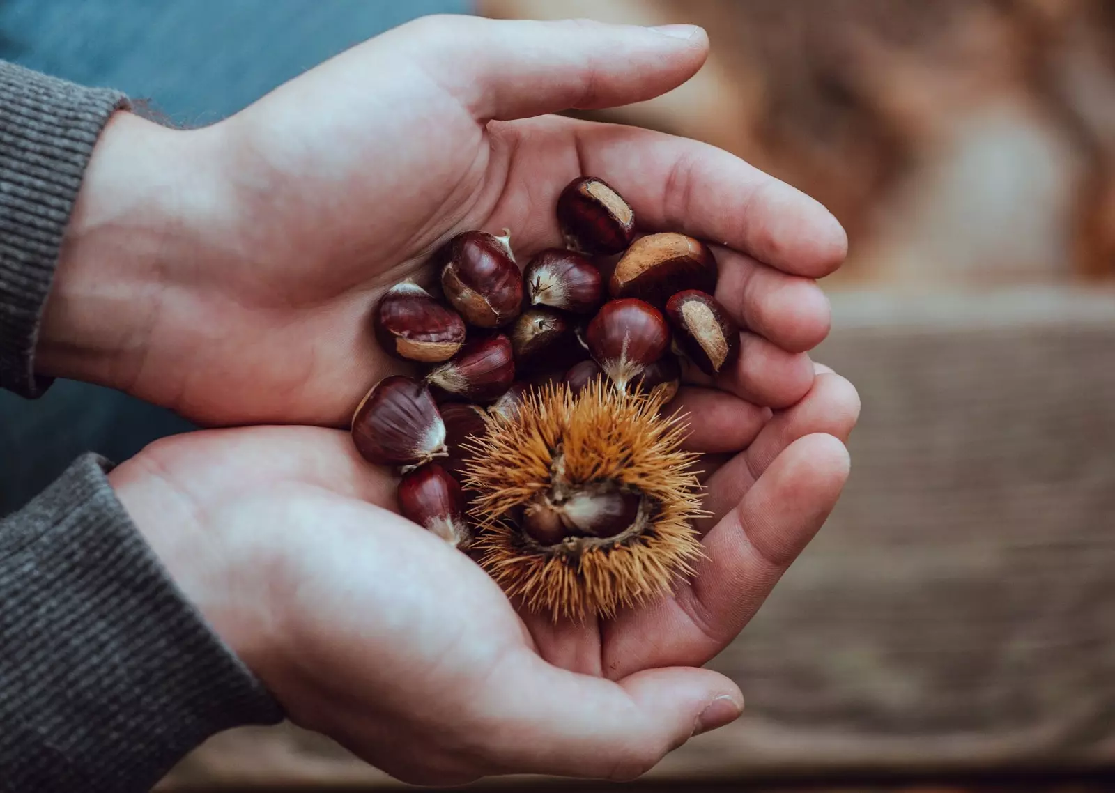 carta de amor para castanhas