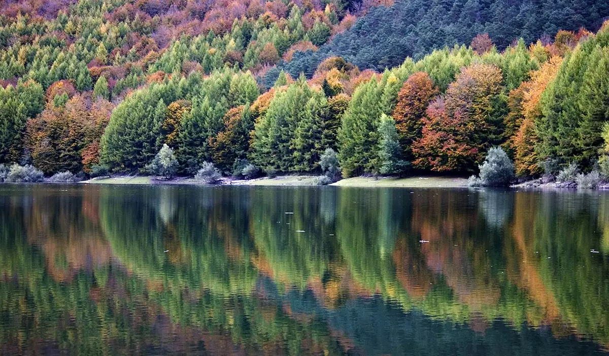 Plaisir d'automne Irati pour les sens