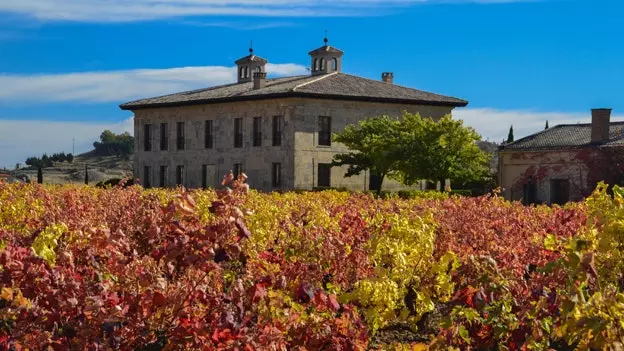 Heimilisföng alltaf (og eins og aldrei) Rioja Alavesa