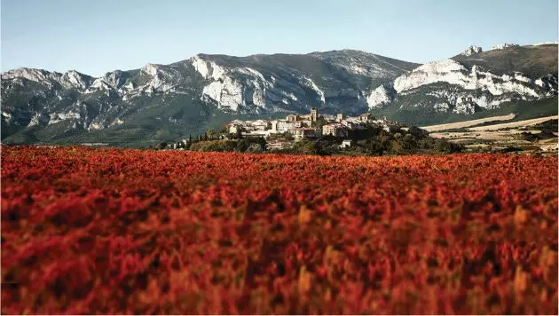 Vinogradi Casa Primicia