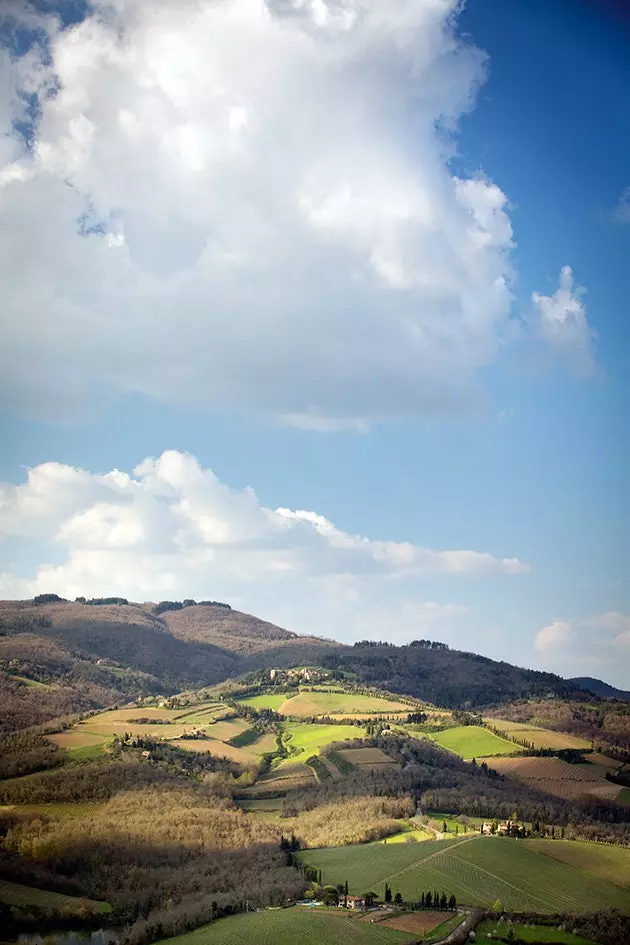 Colinas suaves da Toscana que dão bons azeites e melhores vinhos