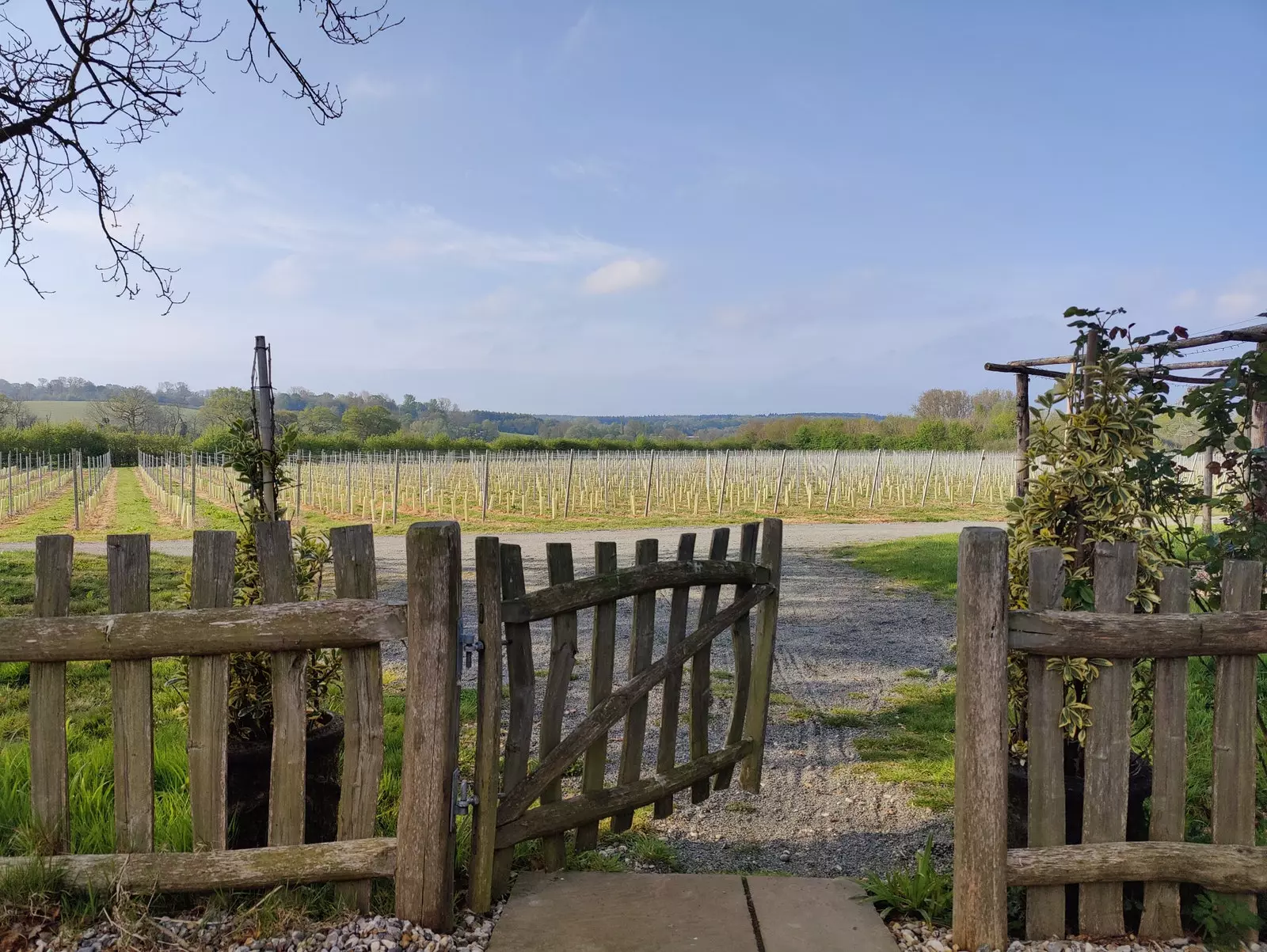 The fields and vineyards on the other side of the lodge's wooden fence.