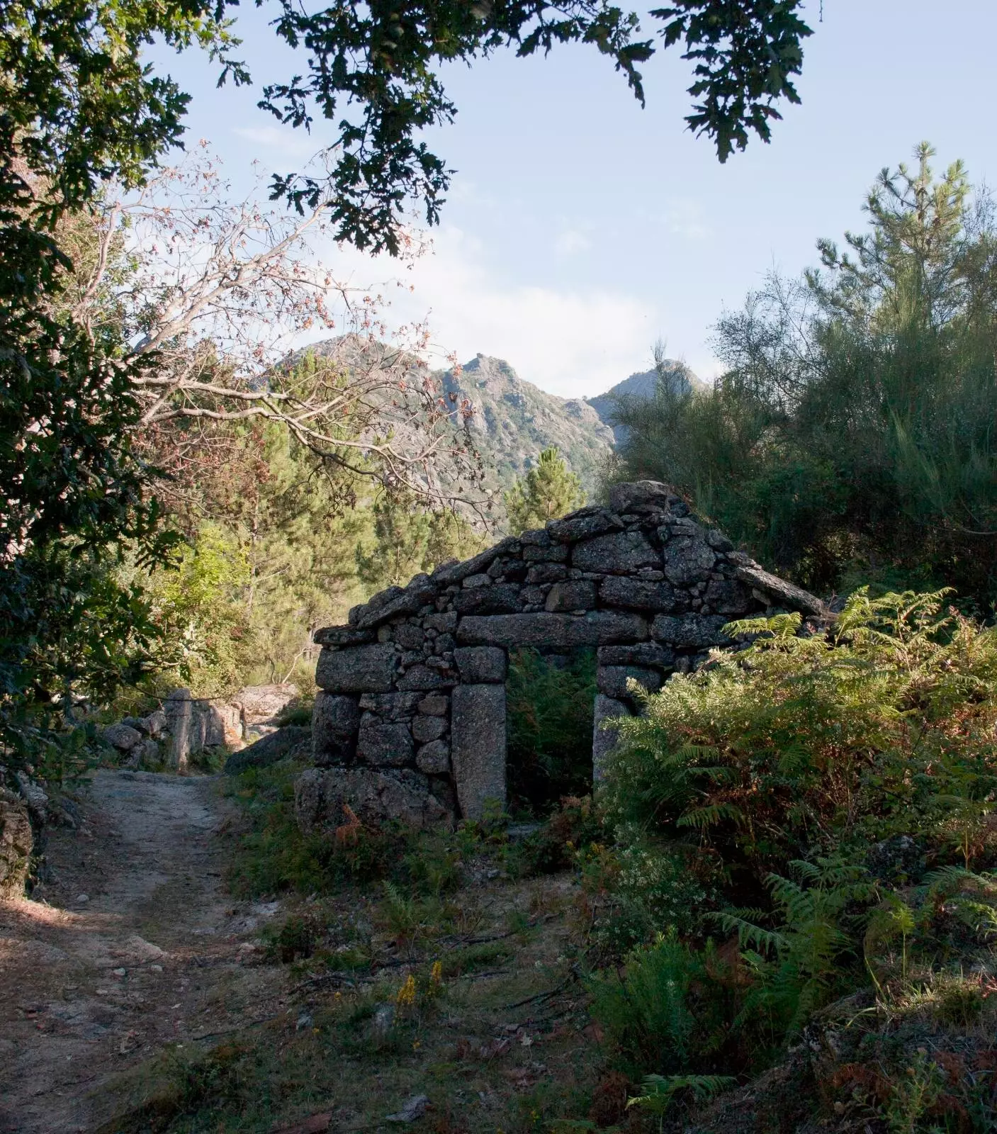 Boladh an draíocht Galicia draíochta