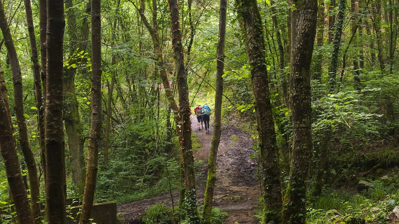 The Primitive Way, čarobna ruta za proslavu Xacobeo godine na Caminu