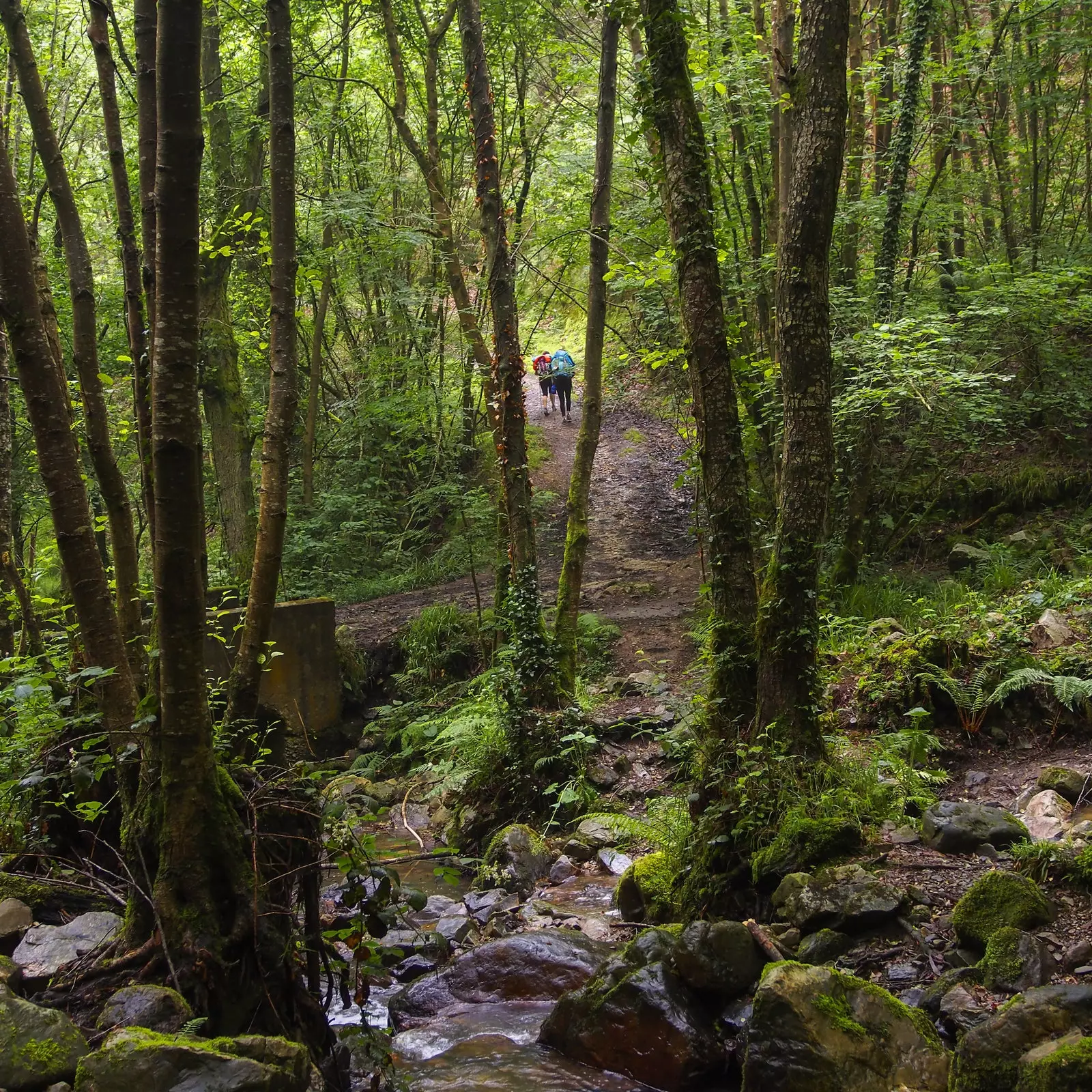 Nonaya-Flussweg