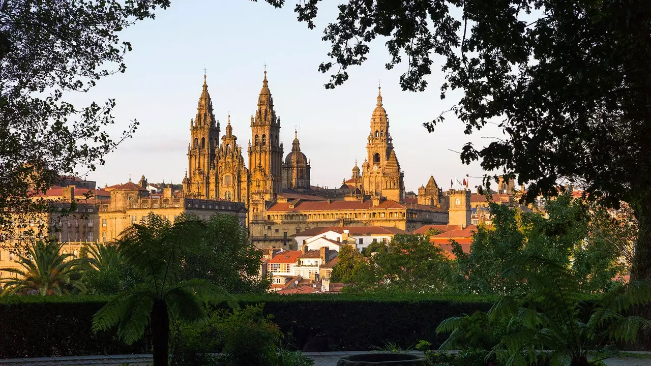 Pilgrim, now you can plant your tree in Santiago to create the Bosque del Camino