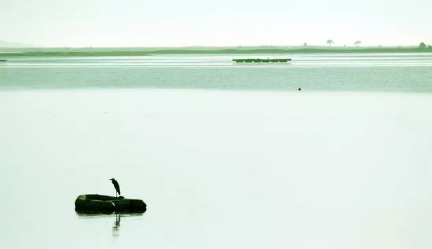 Arousa estuariysi