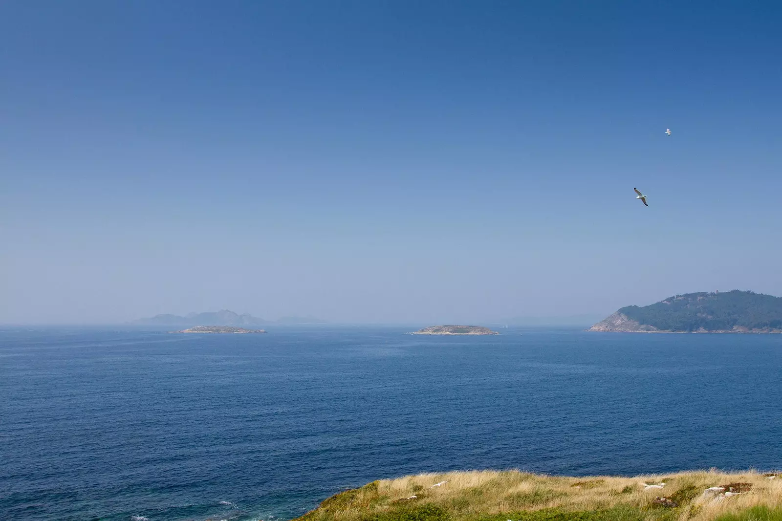 Isole Estelas viste da Baiona