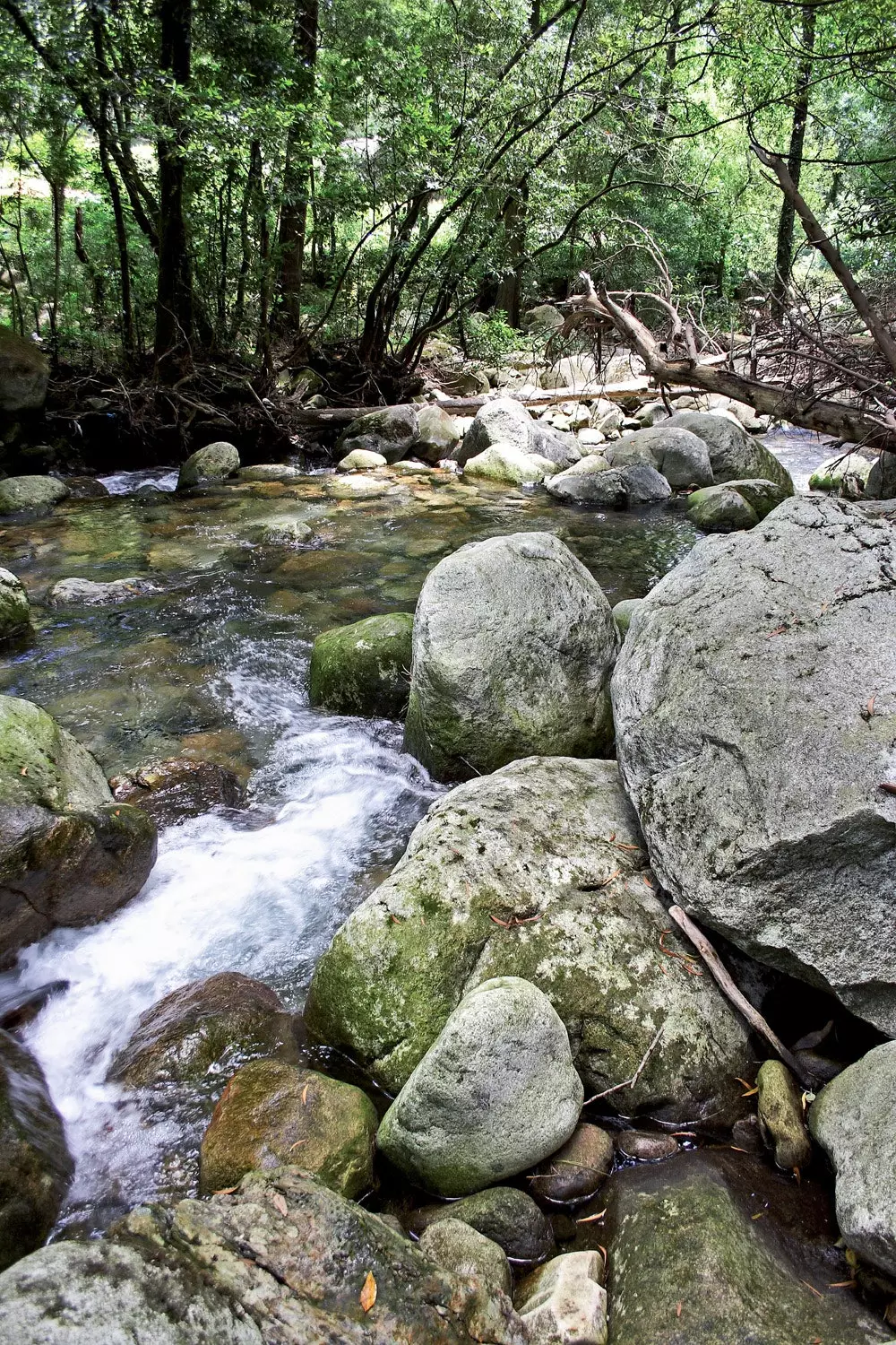 Pedras-rivier