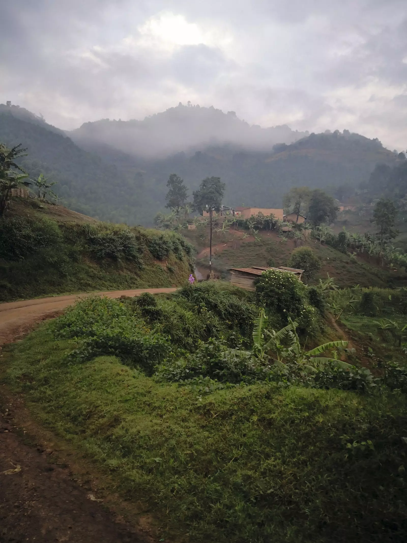 Weg naar Bwindi in Oeganda