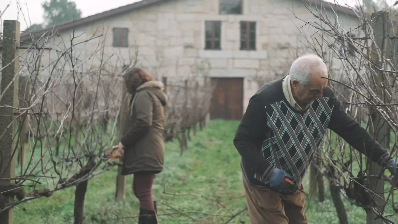 شراب از Rías Baixas