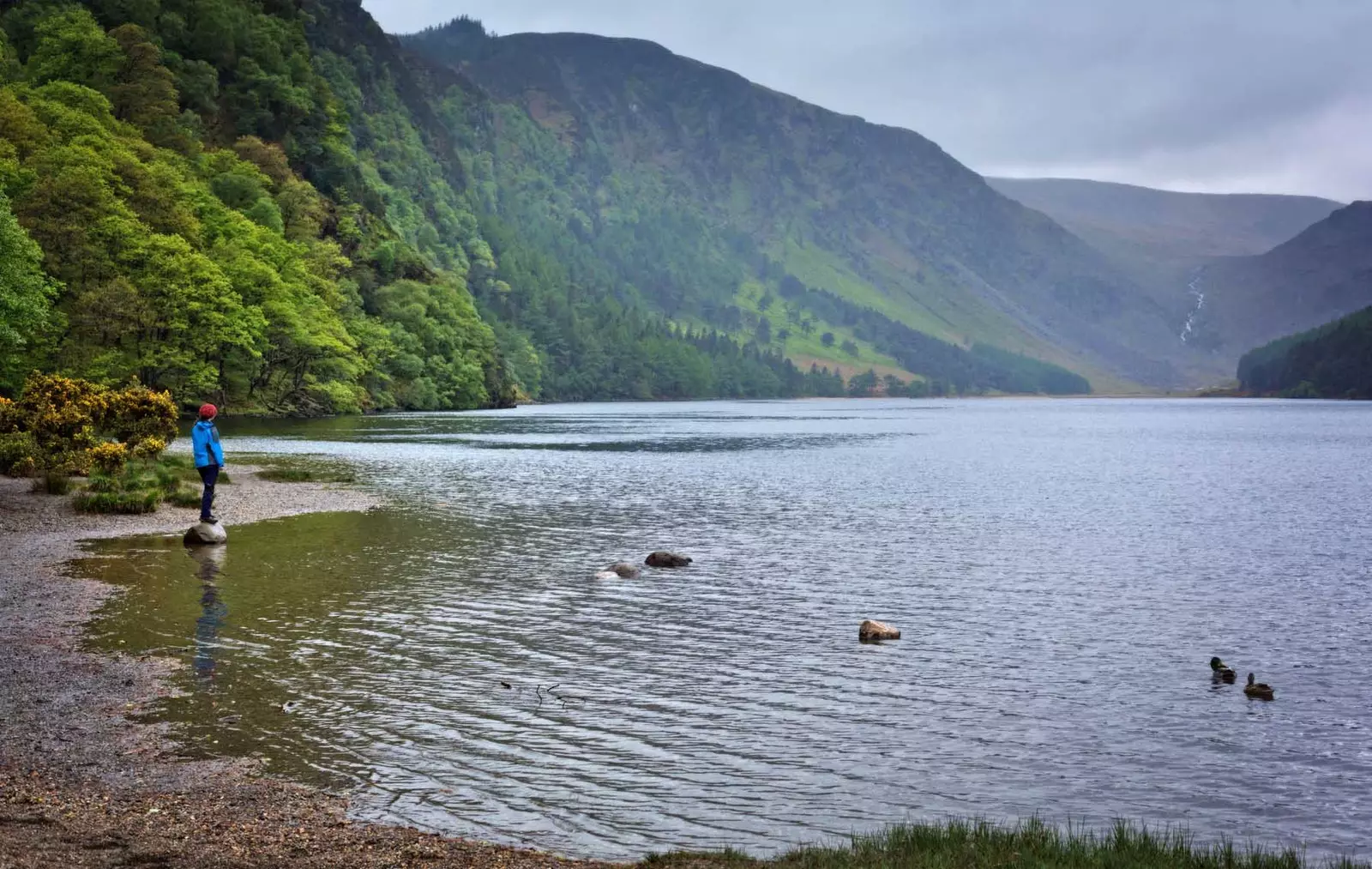 hồ wicklow