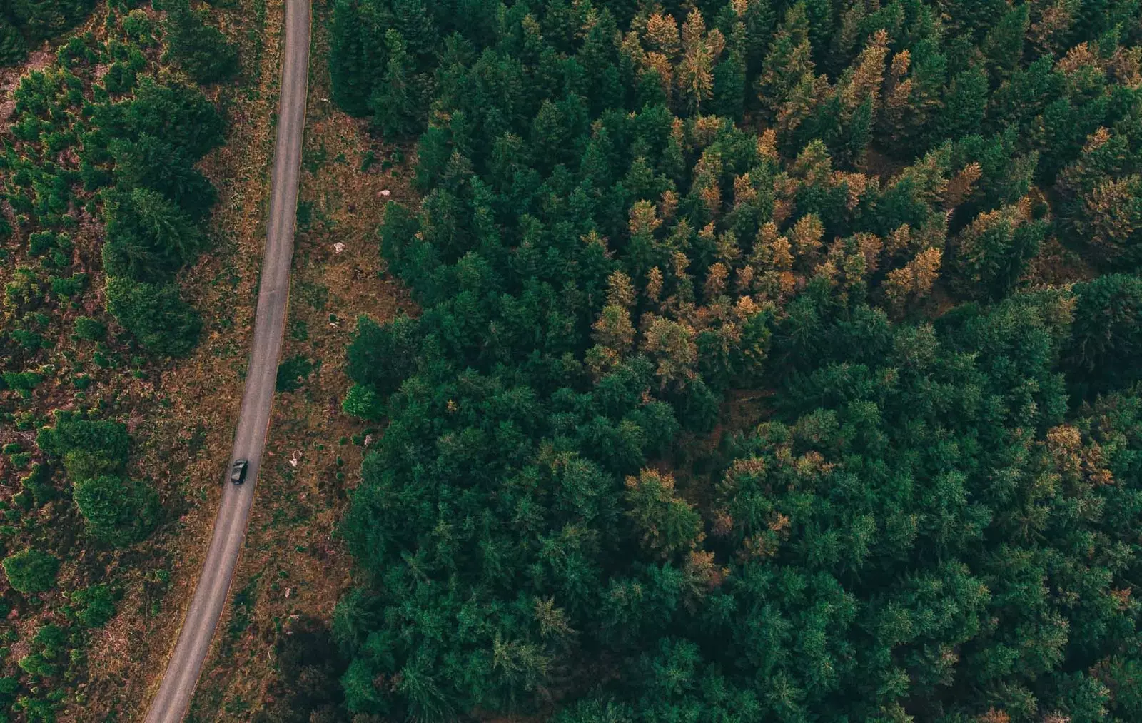 Wicklow Road vom Himmel aus gesehen