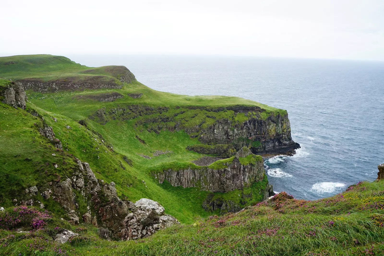 Rathlin puffins və igidlərin evi