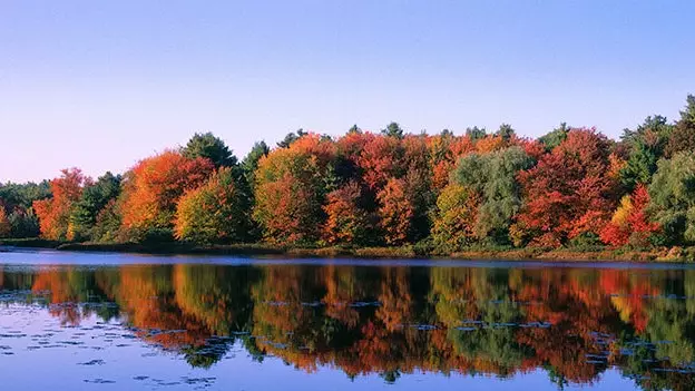 Walden: padovi i filozofija za Thoreauovo zdravlje