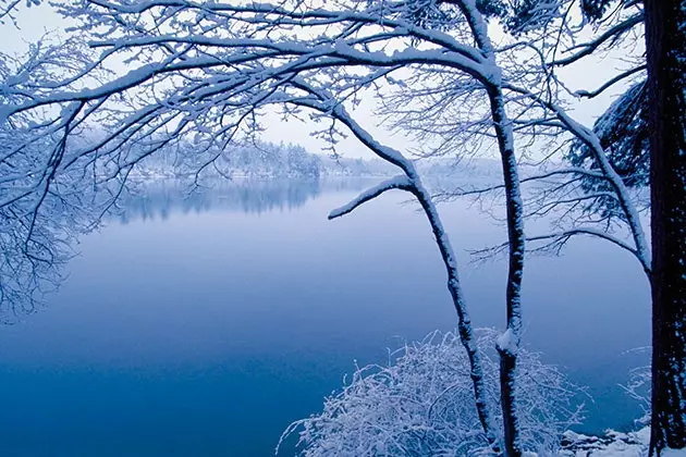 Walden žiemą