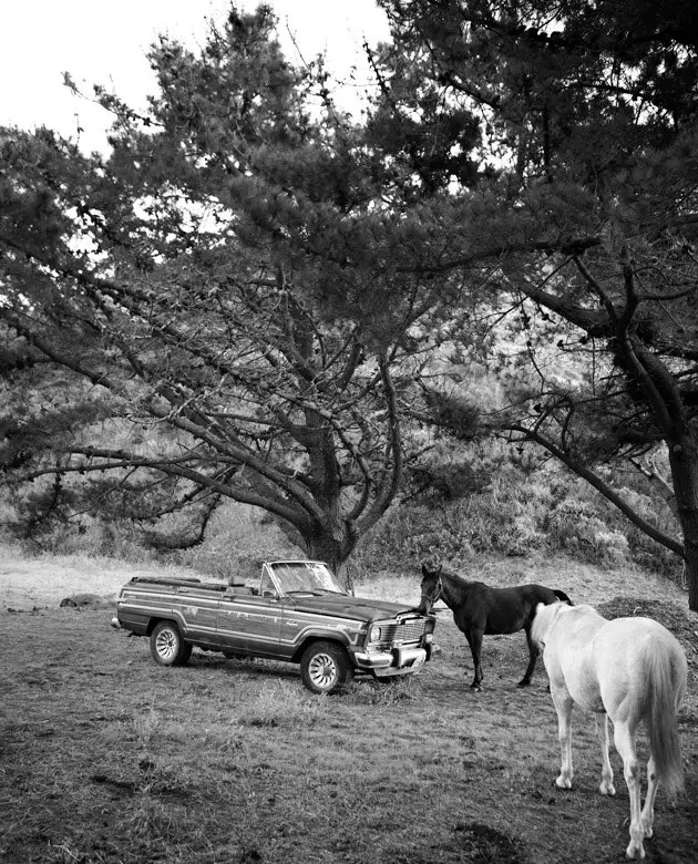 Plazhi Pfeiffer, plazhi më i famshëm në Big Sur