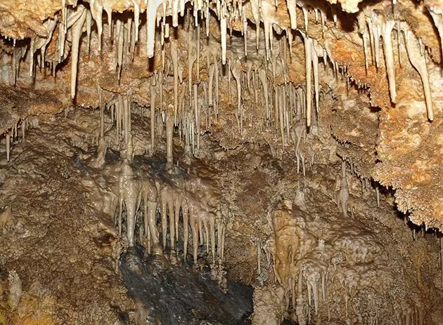 Mos humbisni të brendshmet e Bajo Aragón