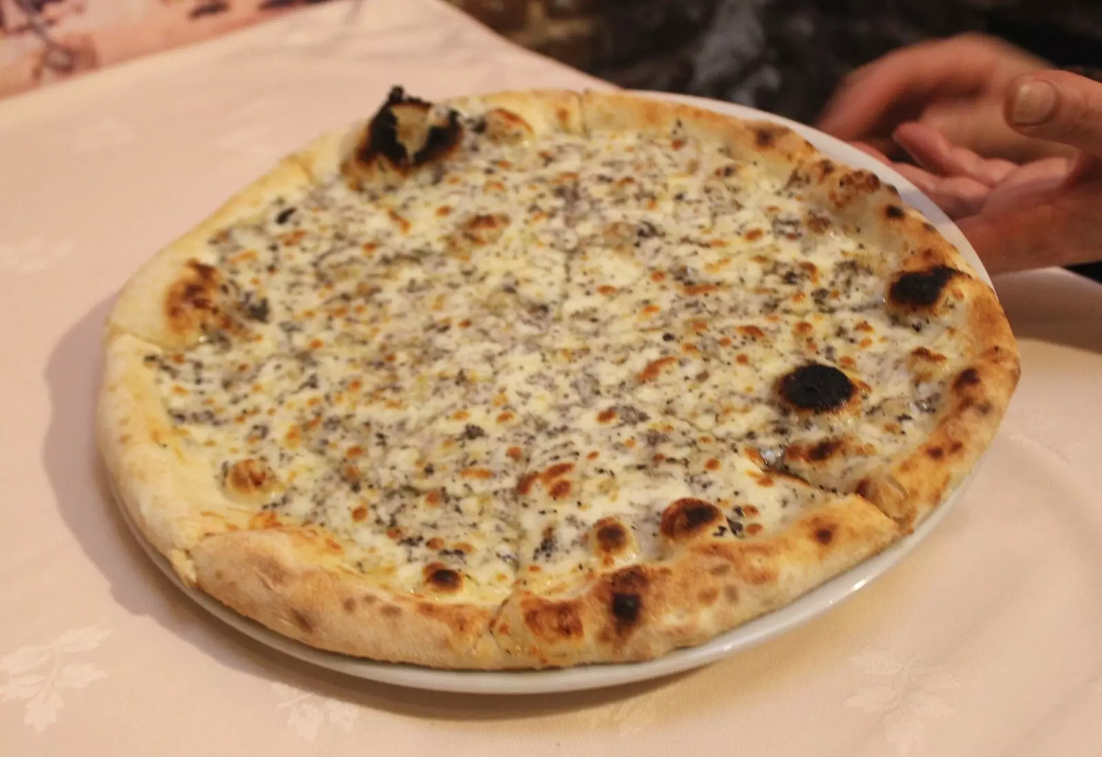 truffle pizza