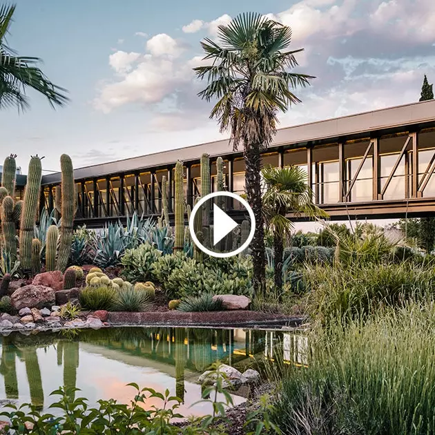 Madrid already has its own cactus garden