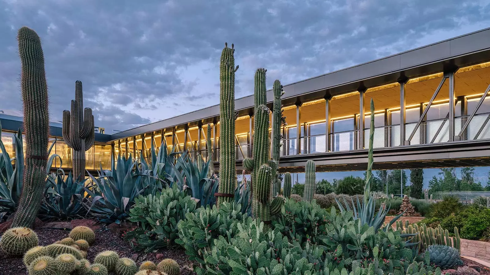 Madrid já tem o seu próprio jardim de cactos