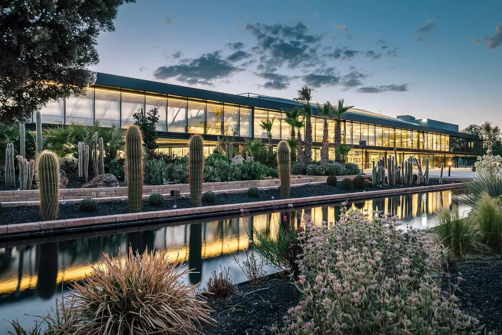 Madrid ha già il suo giardino di cactus