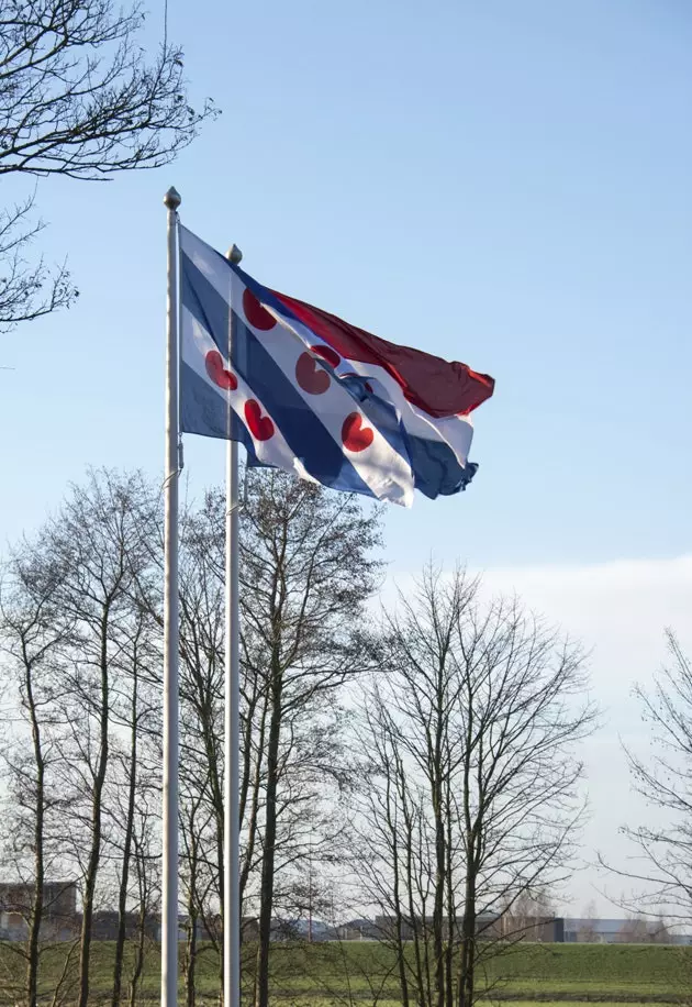 Bandera de Frisia