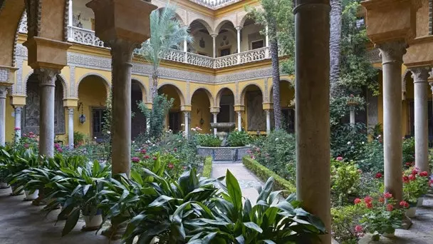 The Palace of the Dueñas of the Duchess of Alba is now open to the public