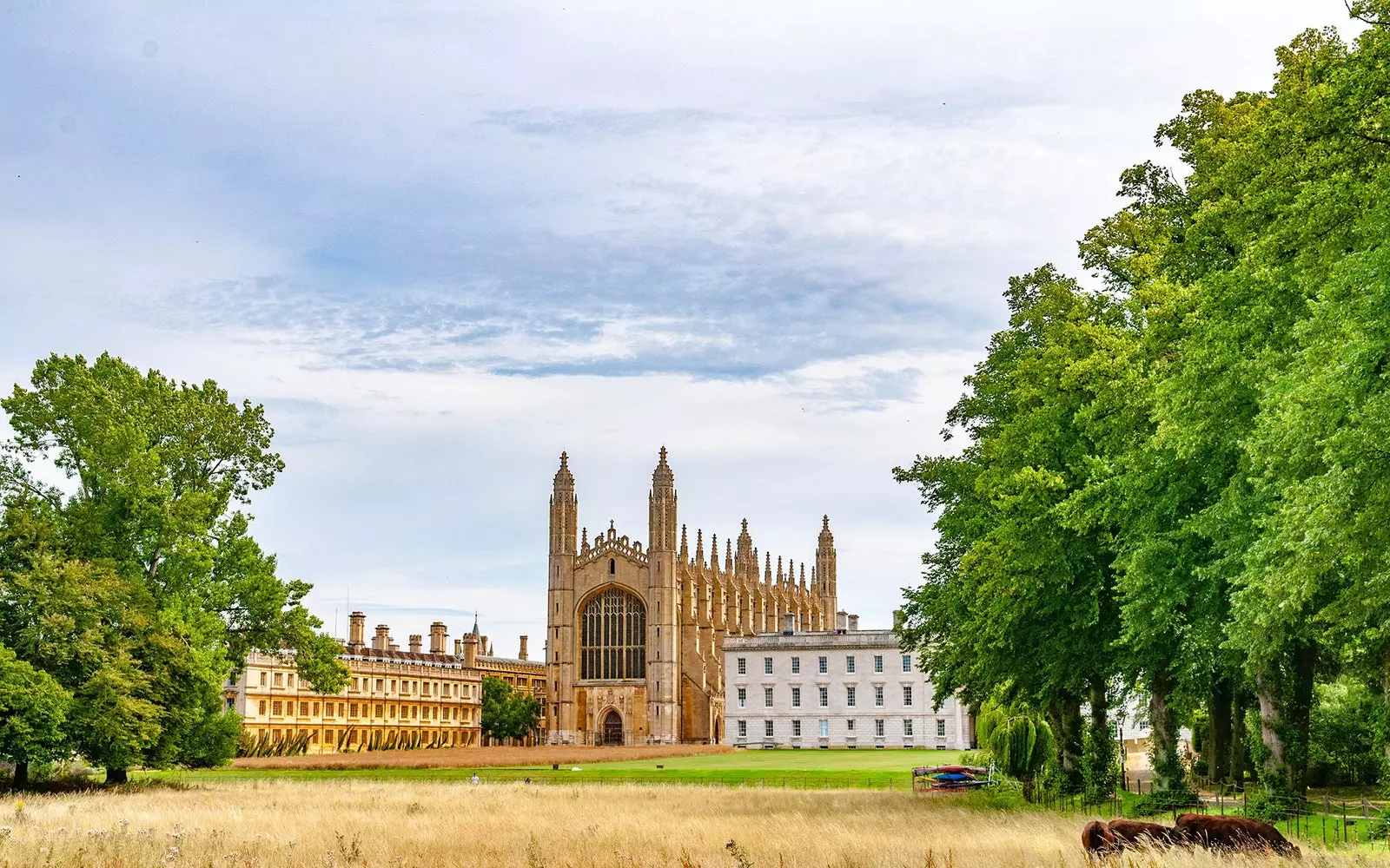 University of Cambridge v Anglii