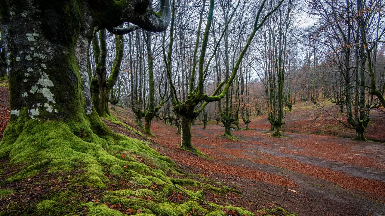 Gorbeia, zelené srdce Euskadi